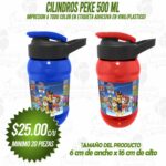 CILINDRO PEQUE 500ml Personalizalo del tema de tu preferencia!!